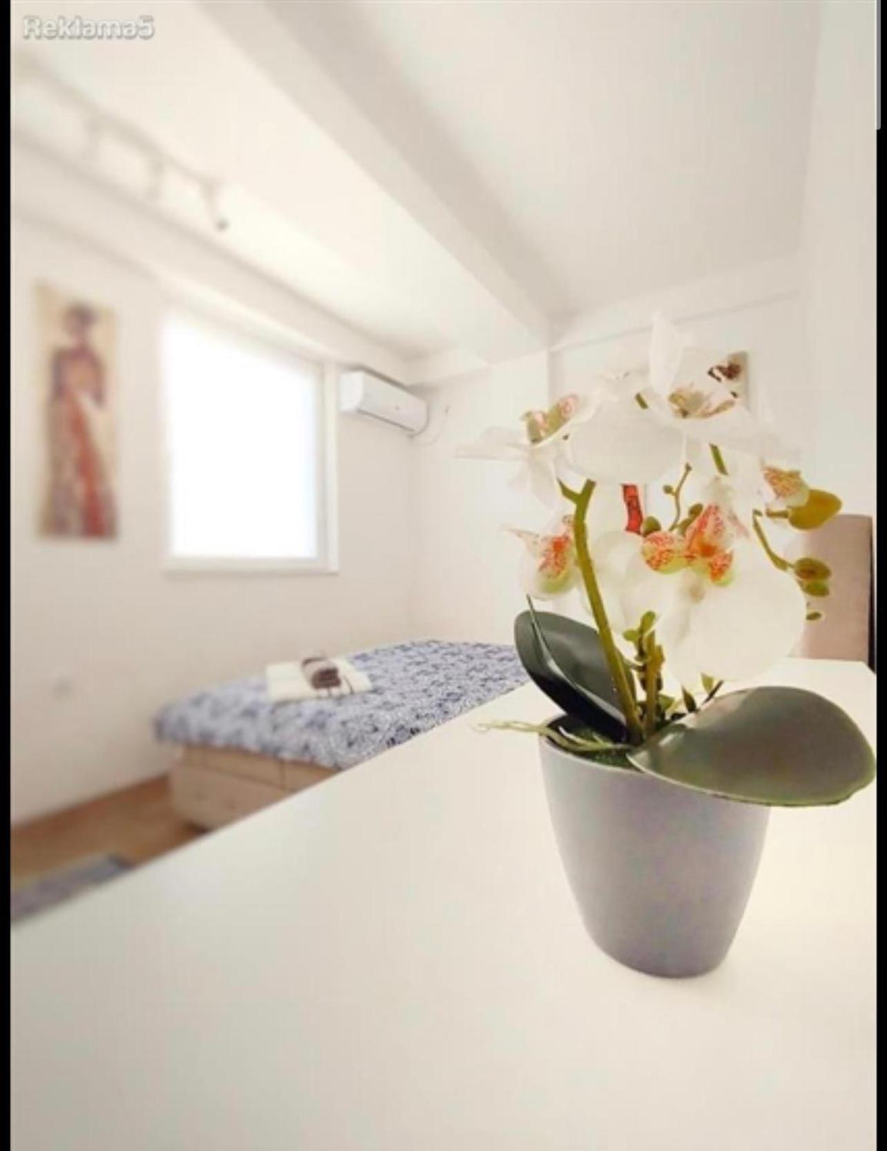 Luxury Skopje Apartments Bagian luar foto